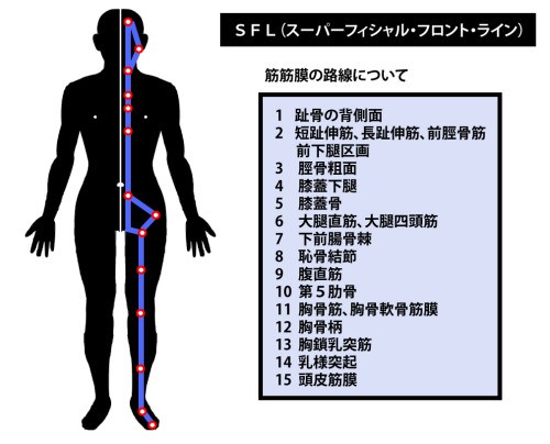 東御市,上田市,小諸市,整体,指圧,ほぐしや,マッサージ,アナトミー・トレイン